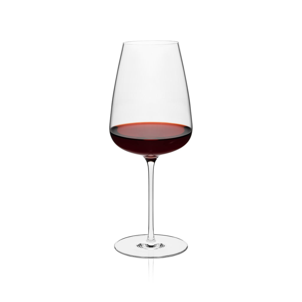 Rona Diverto Wine Glass