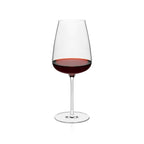 Rona Diverto Wine Glass