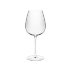 Rona Diverto Wine Glass