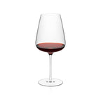 Rona Diverto Wine Glass